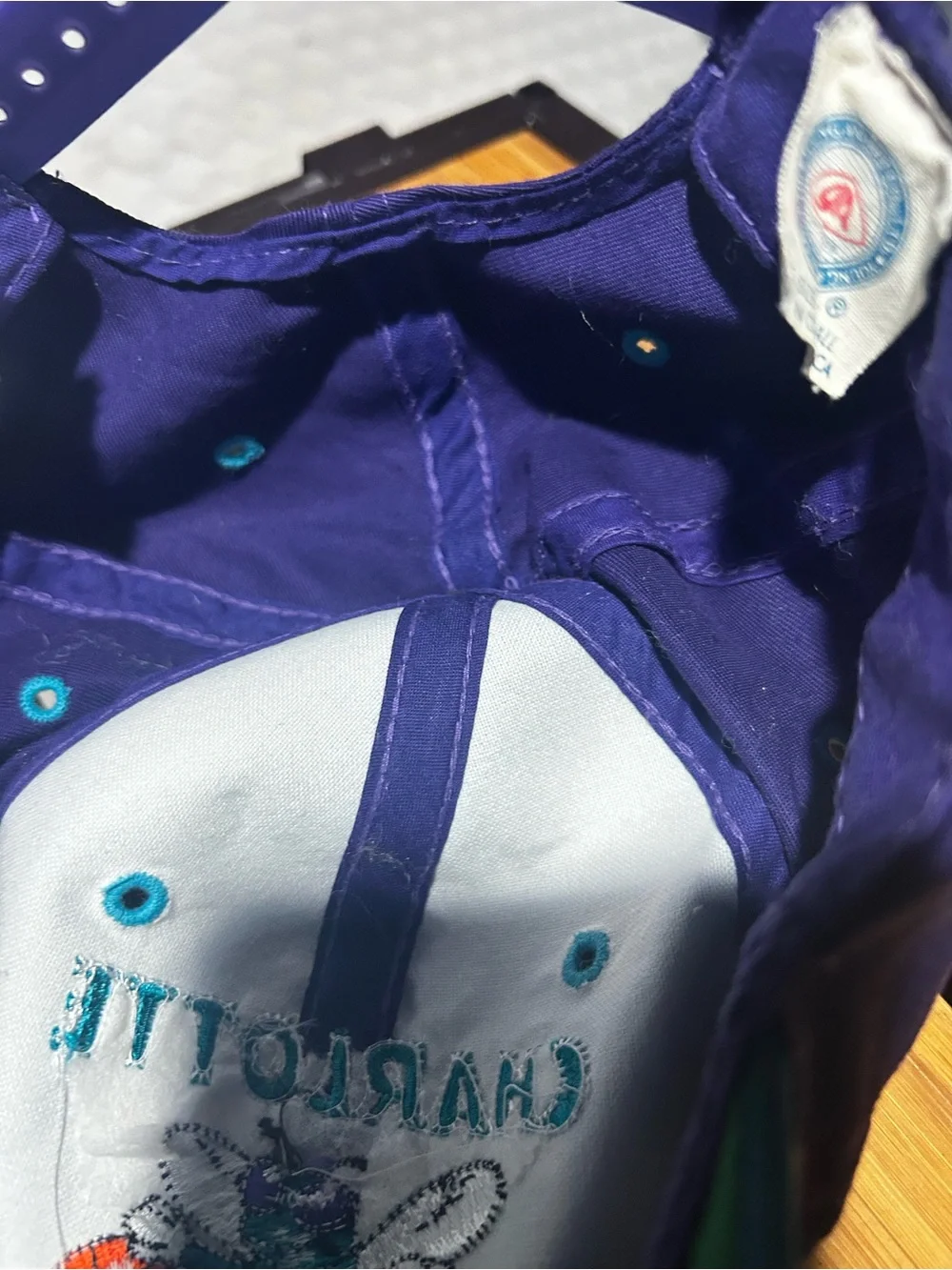 NBA Charlotte Hornets Purple and Teal Vintage Snapback Hat
